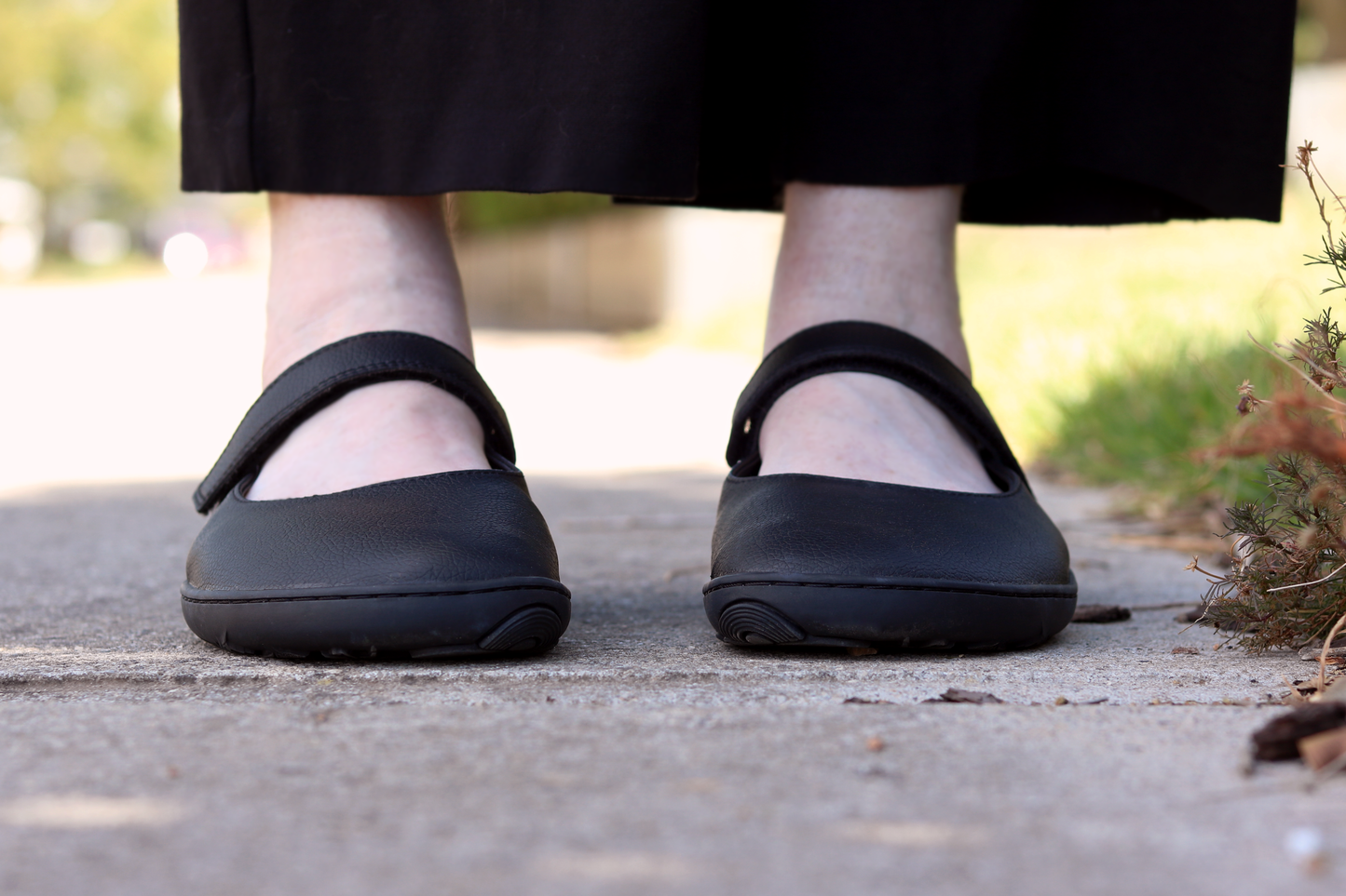 Vegan Atlas MJ front