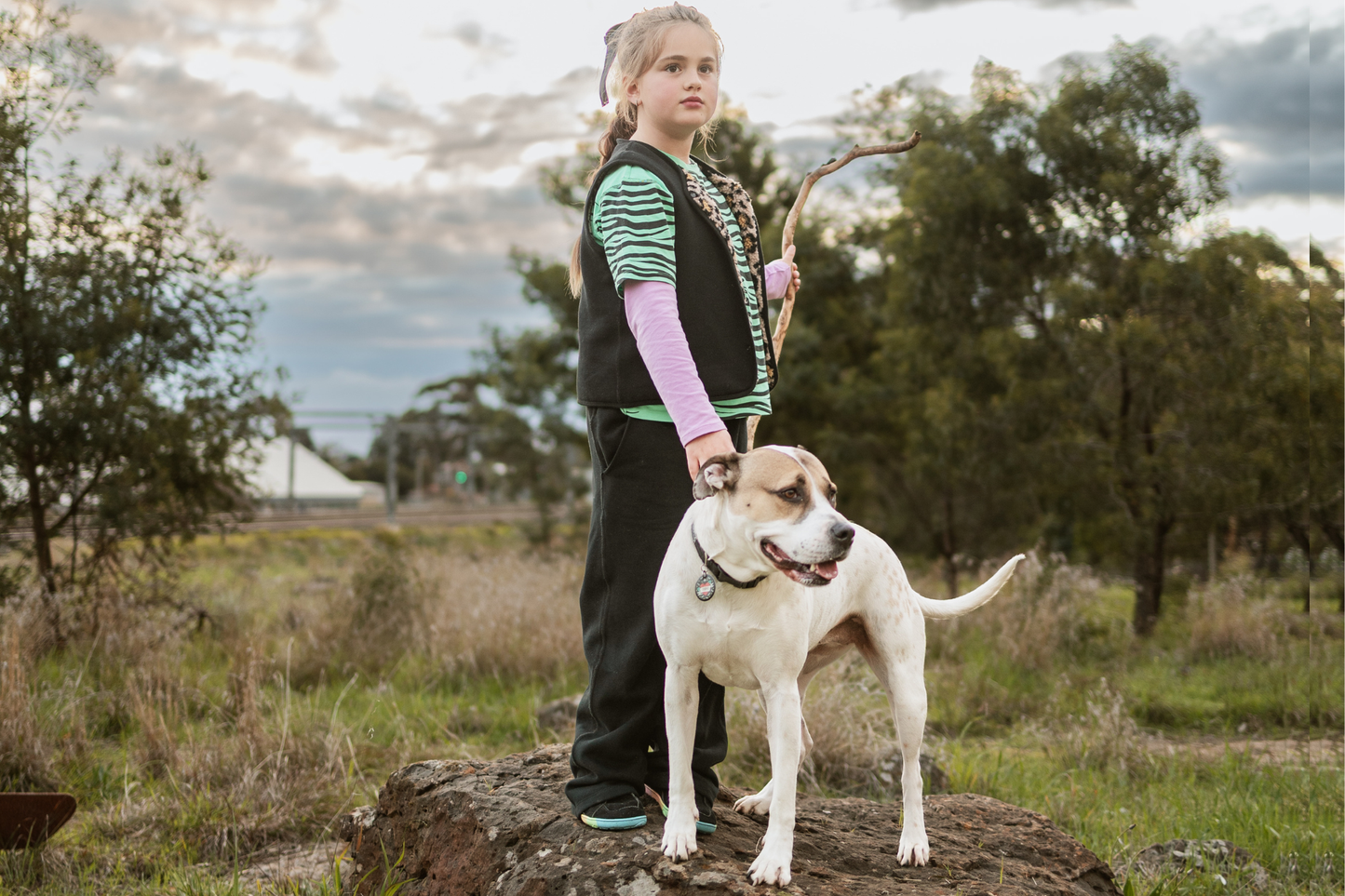Girl standing on a rock with a dog in an outdoor setting