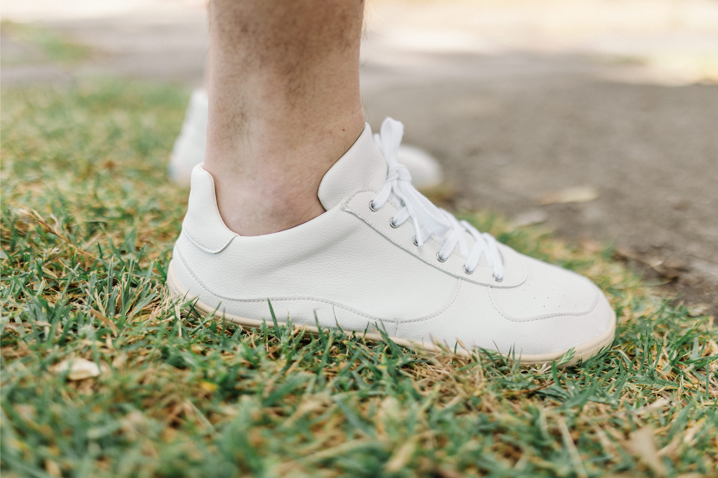 Camel 2025 toe sneakers