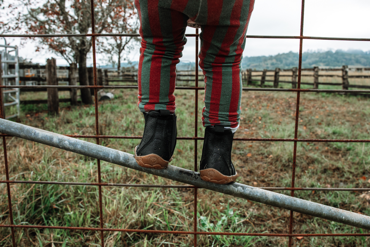 A child wearing red and green vertically striped leggings and black leather chelsea boots stands on a metal gate rail in an outdoor farm setting with fences and grass in the background.