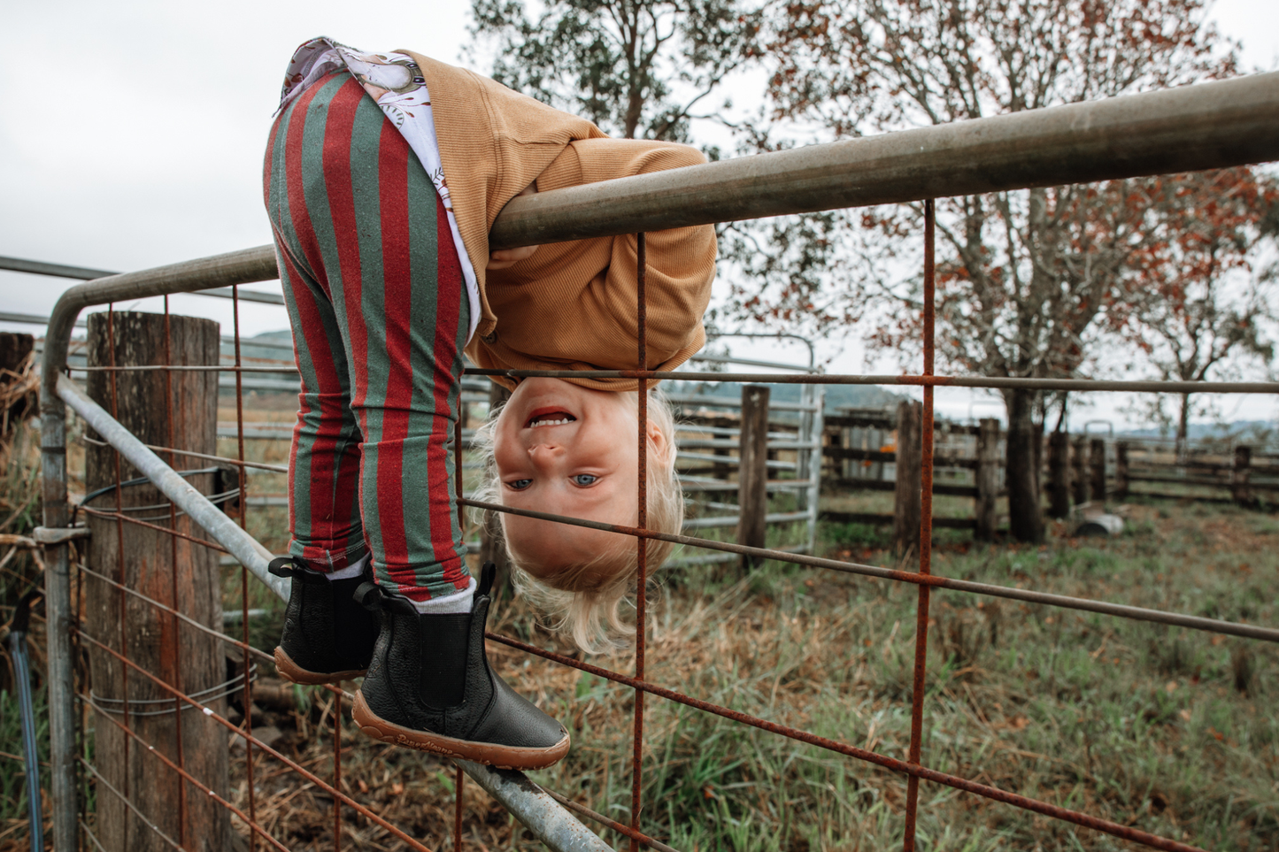 A young child is looking upside down through a metal fence gate in an outdoor farm setting, wearing a tan sweater, red and green striped pants, and black leather PaperKrane chelsea boots.
