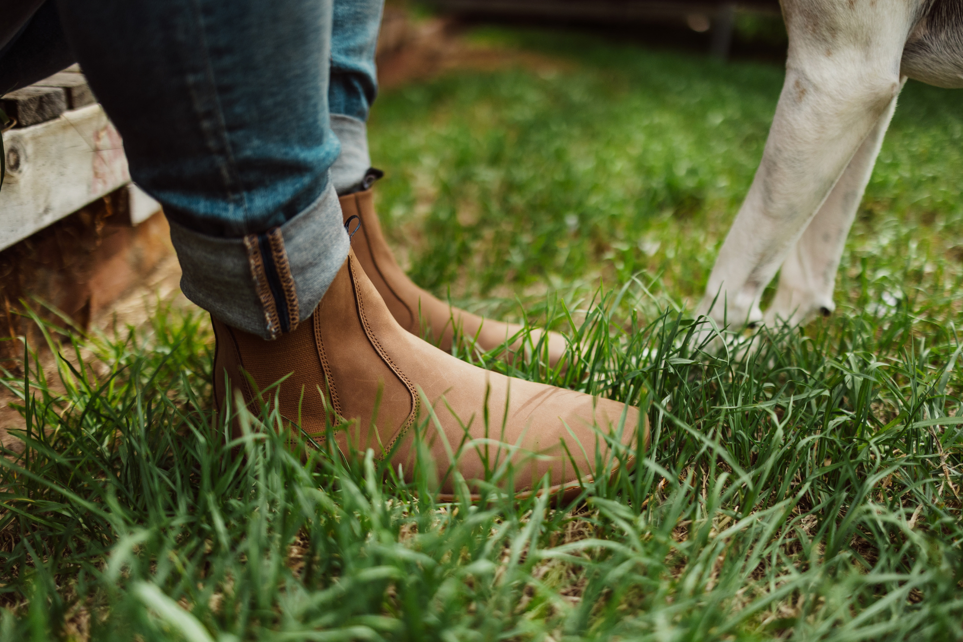 BROWN vintage barefoot chelsea boots from PaperKrane from the side on grass. The person is wearing blue jeans. The brown leather is a matte texture, and there are dog legs in the image. 