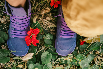 Purple sneakers on grass with red flowers