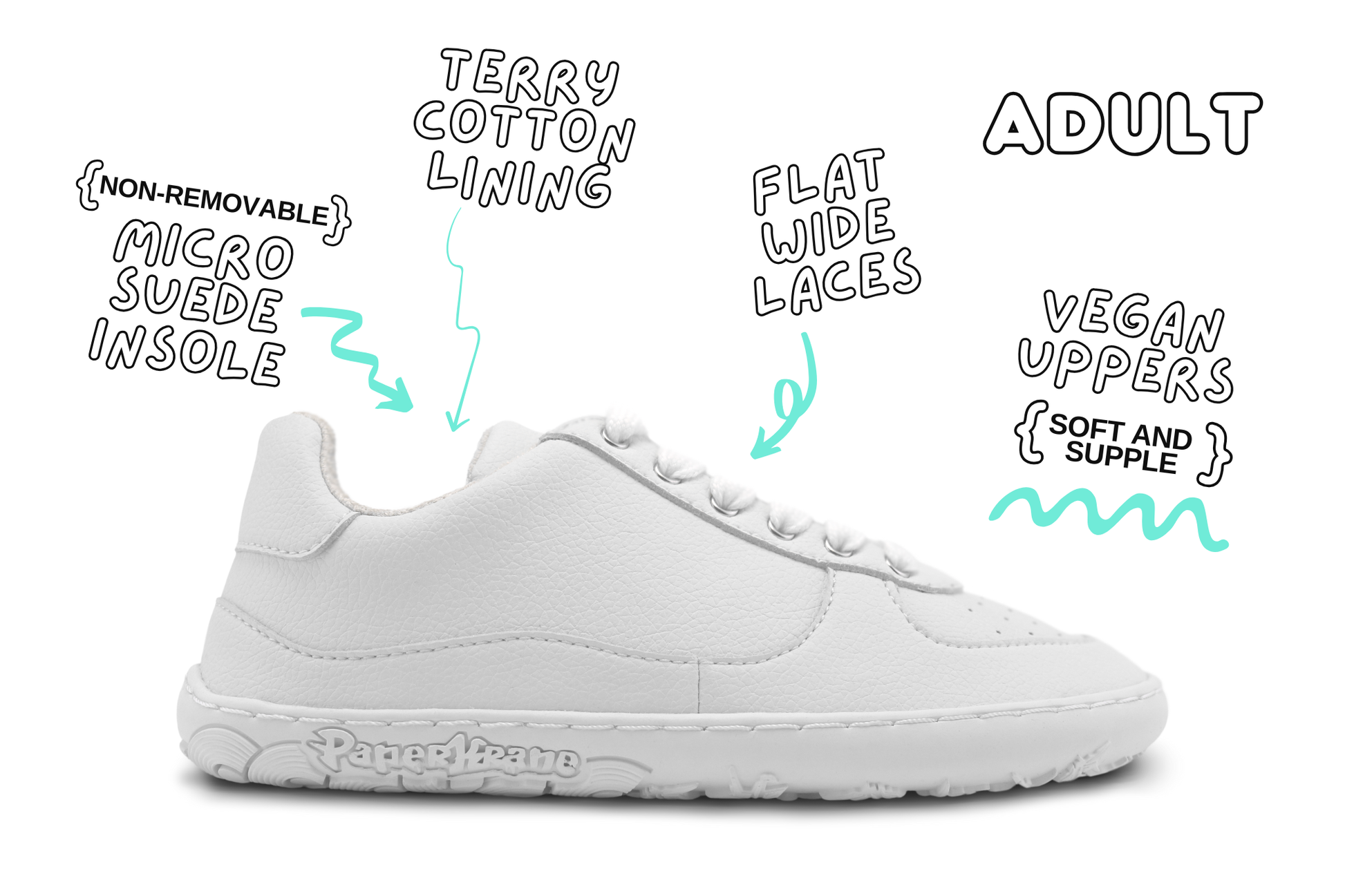 White sneaker with features on a white background