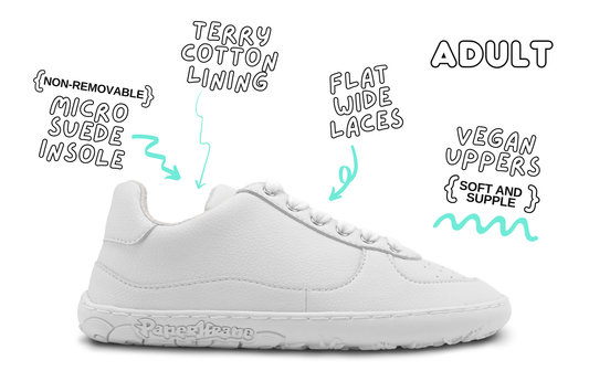 White sneaker with features on a white background