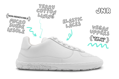 White sneaker with features on a white background